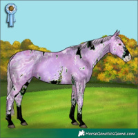 Horse Color:ERROR: UNKNOWN ANOMALY