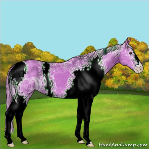 Horse Color:ERROR: UNKNOWN ANOMALY