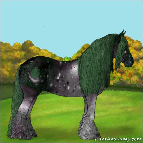 Horse Color:ERROR: UNKNOWN ANOMALY