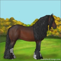 Horse Color:Brown 