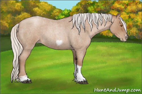 Horse Color:Silver Blue Roan Pearl Tobiano Frame