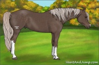 Horse Color:Silver Black 