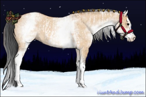 Horse Color:White Spotted Bay Dun Rabicano and White Spotted Bay Dun Splash Rabicano