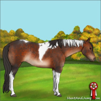 Horse Color:Brown Tobiano Rabicano 