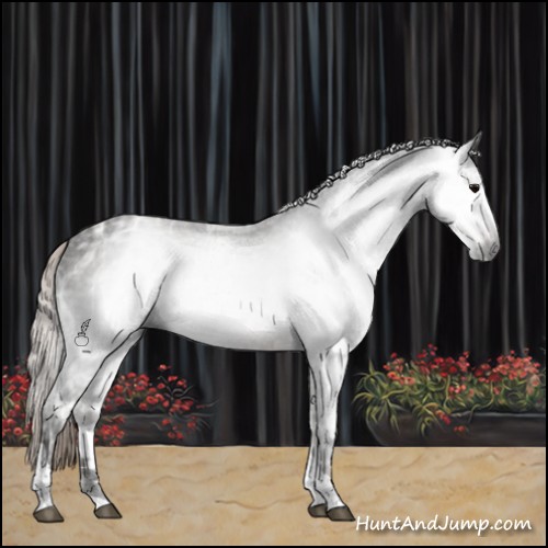 Horse Color:Gray Silver Black Ice Tobiano 