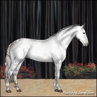 Horse Color:Gray Silver Black Ice Tobiano 