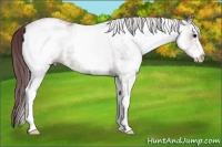 Horse Color:White Spotted Chocolate Brown Ice