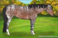 Horse Color:Brown Ice