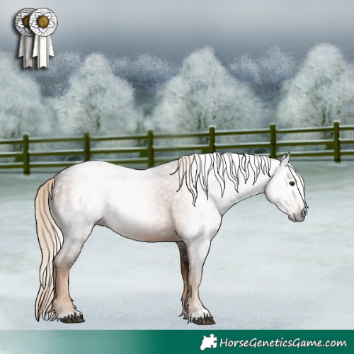 Horse Color:Gray Chocolate Palomino Sabino 