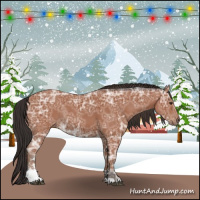 Horse Color:Bay Ice Sabino Rabicano 