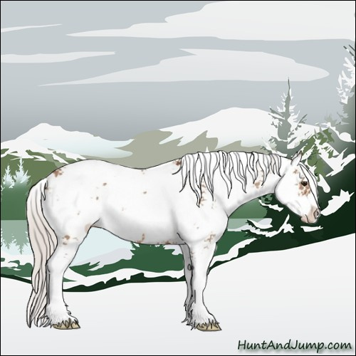 Horse Color:Silver Bay Dun Sabino 