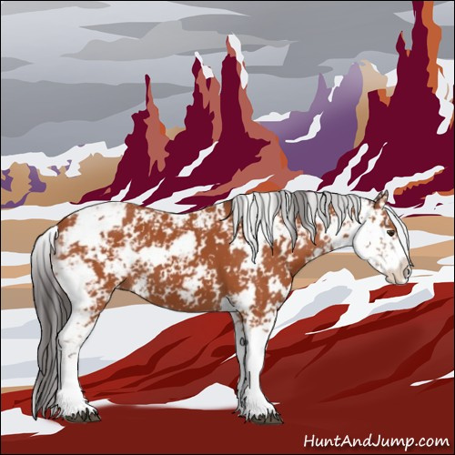 Horse Color:Bay Sabino 