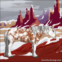 Horse Color:Bay Sabino 