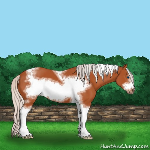 Horse Color:Silver Bay Sabino Tobiano Frame 