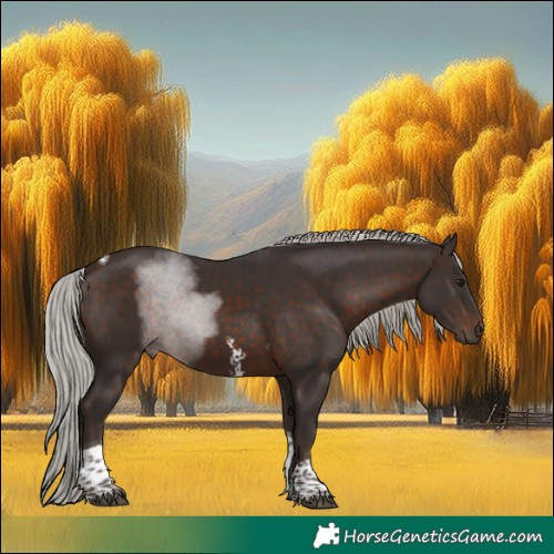 Horse Color:Silver Brown Sabino Tobiano 