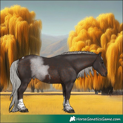 Horse Color:Silver Brown Sabino Tobiano
