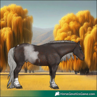 Horse Color:Silver Brown Sabino Tobiano 