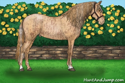 Horse Color:Silver Brown Roan Pearl Tobiano  and Bay Roan Pearl 
