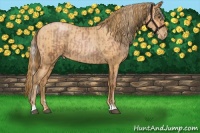 Horse Color:Silver Brown Roan Pearl Tobiano  and Bay Roan Pearl 