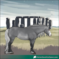 Horse Color:Silver Brown Chinchilla Dun Sabino 