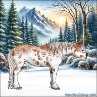 Horse Color:White Spotted Silver Bay Sabino Splash Rabicano 