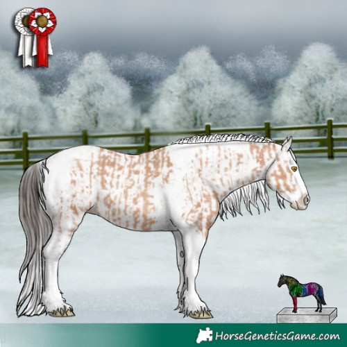 Horse Color:Amber Champagne Splash Tobiano  and White Spotted Bay Sabino Splash Rabicano 