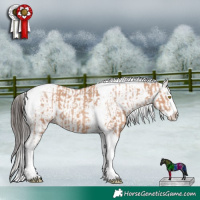 Horse Color:Amber Champagne Splash Tobiano  and White Spotted Bay Sabino Splash Rabicano 