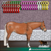 Horse Color:Silver Bay 