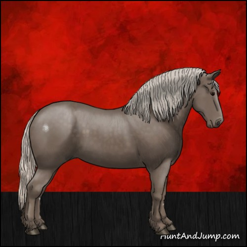 Horse Color:Silver Black