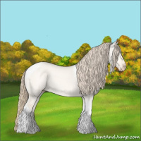Horse Color:Perlino Dun Tobiano 