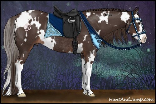 Horse Color:White Spotted Liver Chestnut Splash Rabicano