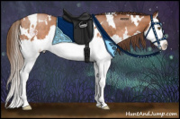 Horse Color:White Spotted Brown Pearl Splash 