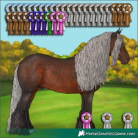 Horse Color:Silver Brown Rabicano 