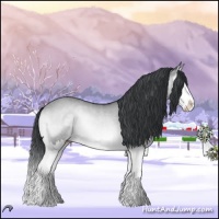 Horse Color:Brown Chinchilla Onyx Splash 