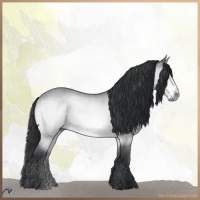 Horse Color:Brown Chinchilla Dun 