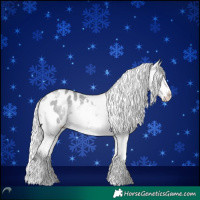Horse Color:Silver Brown Chinchilla Dun Splash Appaloosa 