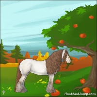 Horse Color:Buckskin Roan Pearl Dun Mushroom Rabicano 