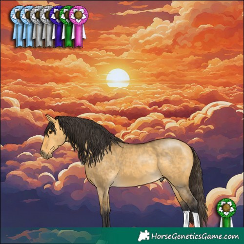 Horse Color:Buckskin Dun 