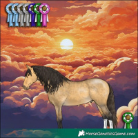Horse Color:Buckskin Dun 