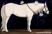 Horse Color:Perlino 
