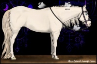 Horse Color:Perlino 