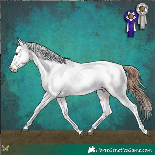Horse Color:Bay Dun Tobiano Near Leopard Rabicano 