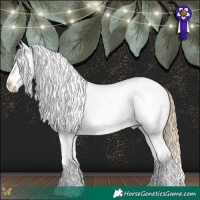 Horse Color:Red Dun Roan Appaloosa Rabicano 