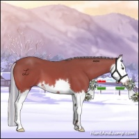 Horse Color:Painted Silver Brown Splash 