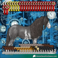 Horse Color:White Spotted Smoky Black Varnish 