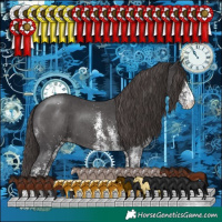 Horse Color:White Spotted Smoky Black Varnish 