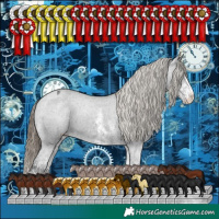 Horse Color:White Spotted Smoky Black Appaloosa 