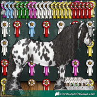 Horse Color:Smoky Black Near Leopard 