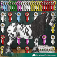 Horse Color:Smoky Black Near Leopard