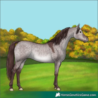 Horse Color:Platinum Chocolate Brown Dun 